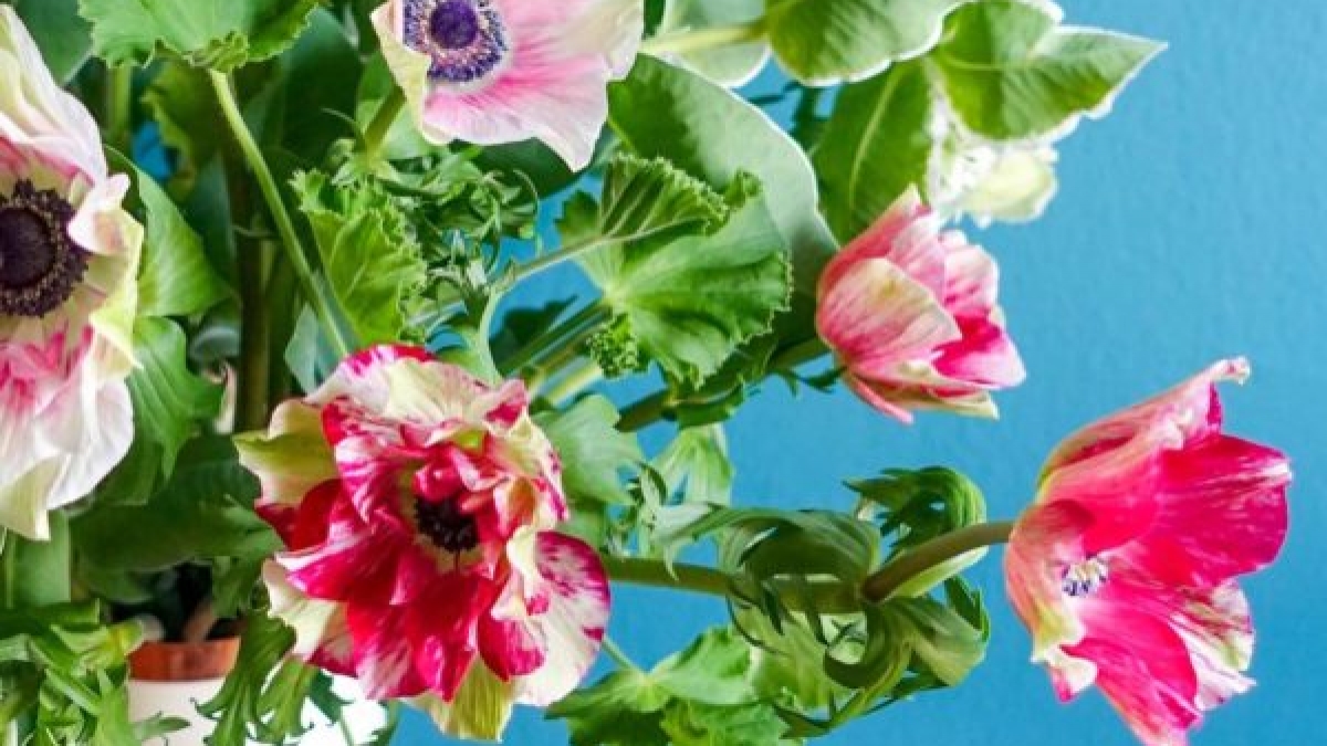 Anemones-with-greens-flower-arrangement-diy-scaled