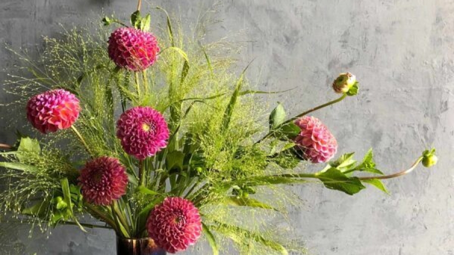 Dahlias & Explosion Grass Arrangement, photo by Flowers with Emily