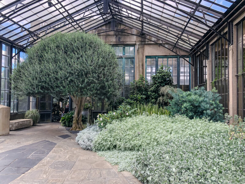 Desert Garden in the Longwood Conservatory Gardens