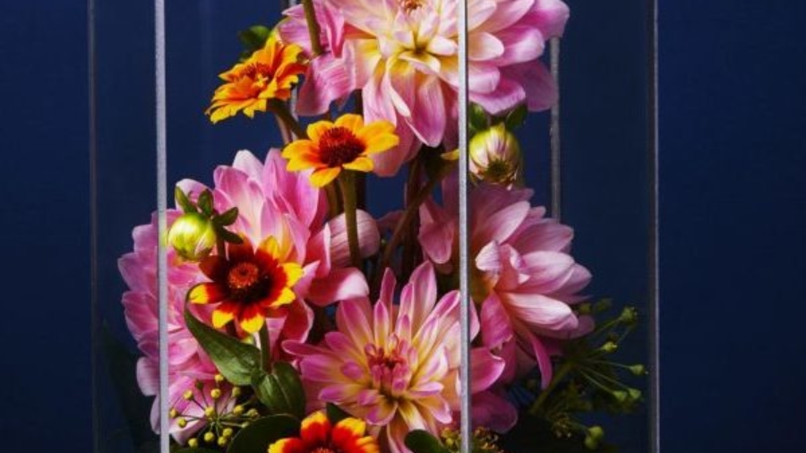 Small-pic-marigold-flowers-terrarium-ultramarine_floral_ty-mecham_emily-harris